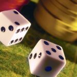 Lay Betting Systems – Which is the greatest?