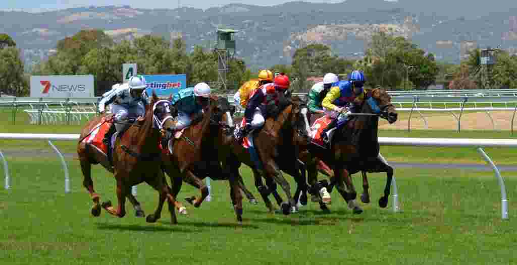 5 Popular Reasons Why People Like To Begin In Live Betting Services