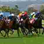 5 Popular Reasons Why People Like To Begin In Live Betting Services