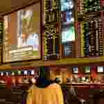 6 Ways To Maximize Your Chances In Betting – Wolf777